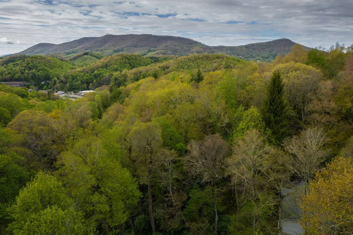 An expansive vista of rolling, forested hills beneath a wide open sky. The landscape feels untouched and serene, perfect for those seeking a restorative natural environment just minutes from town.
